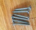 Werner Abru 2 and 3 section Loft Ladder Hinge Guide Screws